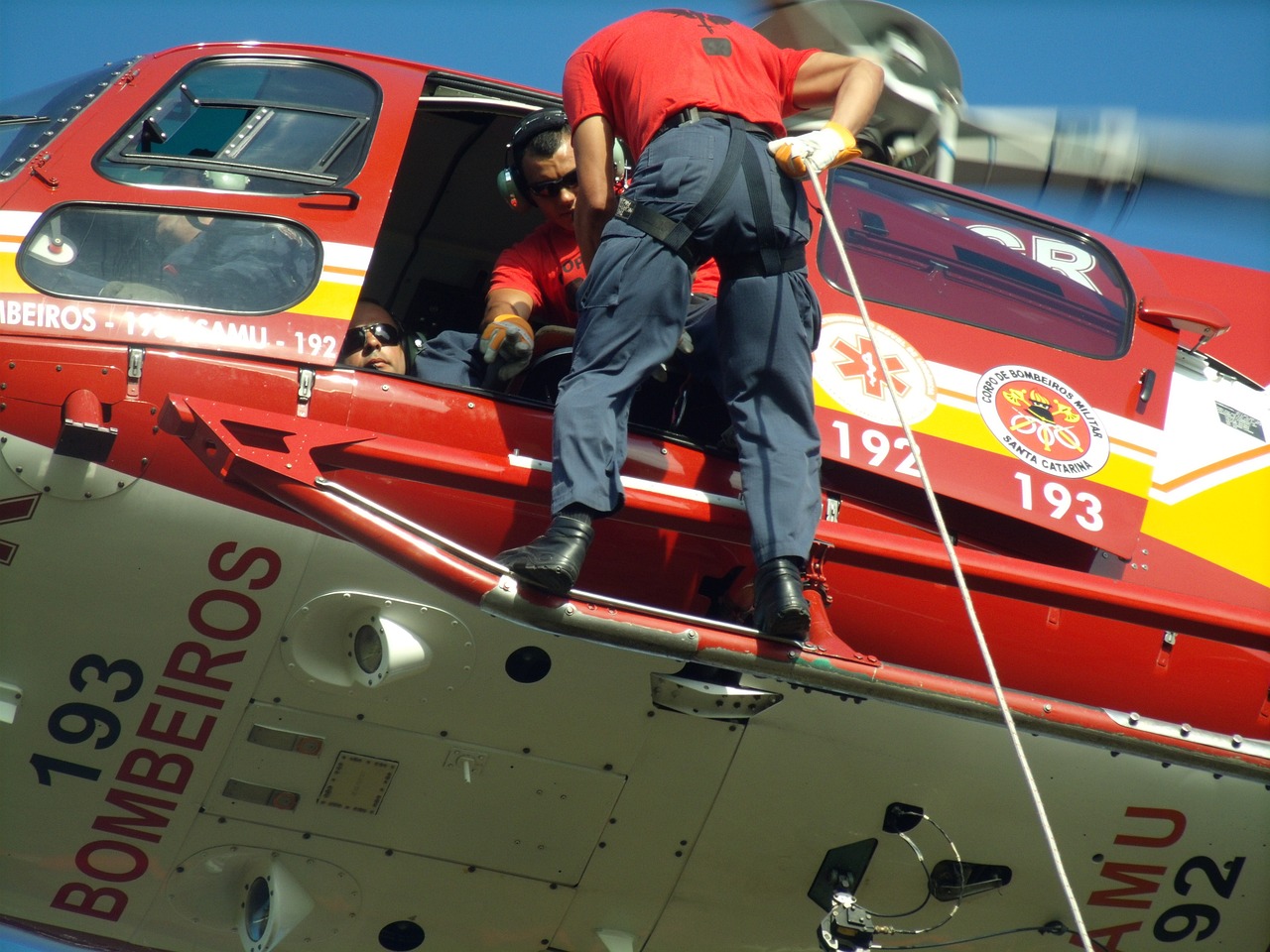 The Importance of Supporting Rescue Efforts Year-Round